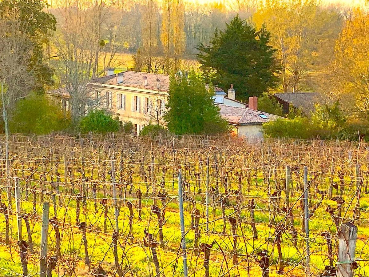 Fabuleux - Domaine Du Moulin D'Andraut Bordeaux-Chevaux-Golf-St Emilion Villa Montussan ภายนอก รูปภาพ