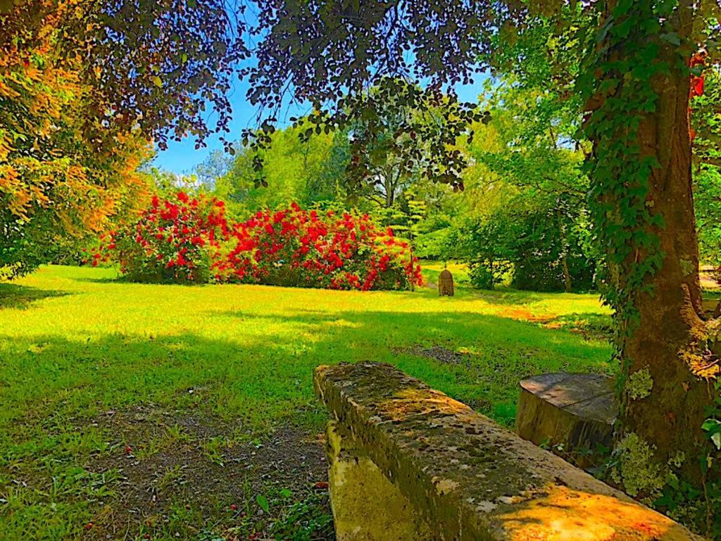 Fabuleux - Domaine Du Moulin D'Andraut Bordeaux-Chevaux-Golf-St Emilion Villa Montussan ภายนอก รูปภาพ