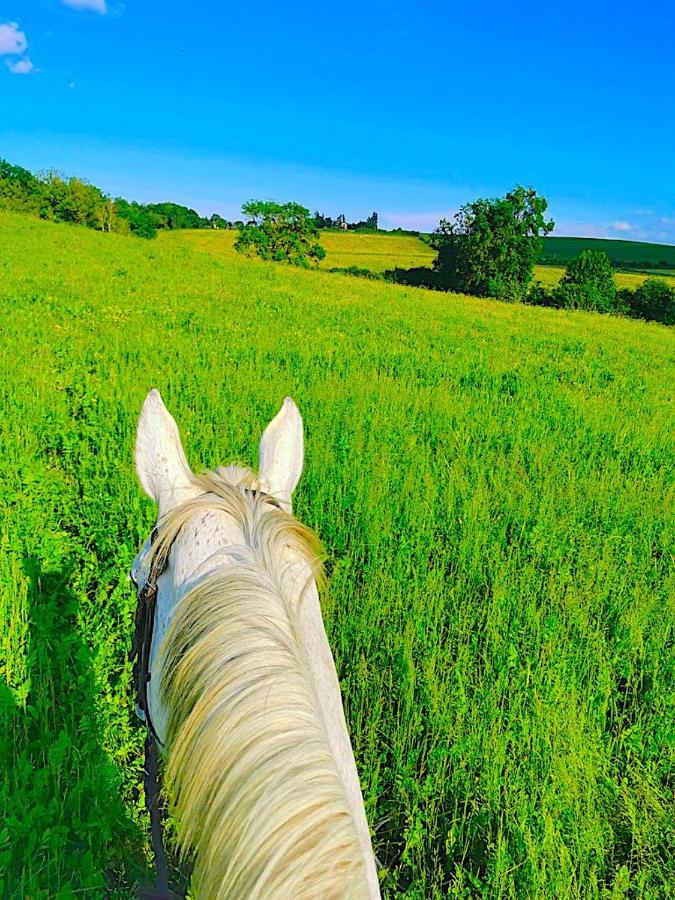 Fabuleux - Domaine Du Moulin D'Andraut Bordeaux-Chevaux-Golf-St Emilion Villa Montussan ภายนอก รูปภาพ