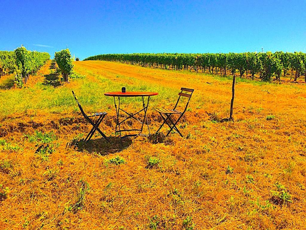 Fabuleux - Domaine Du Moulin D'Andraut Bordeaux-Chevaux-Golf-St Emilion Villa Montussan ภายนอก รูปภาพ
